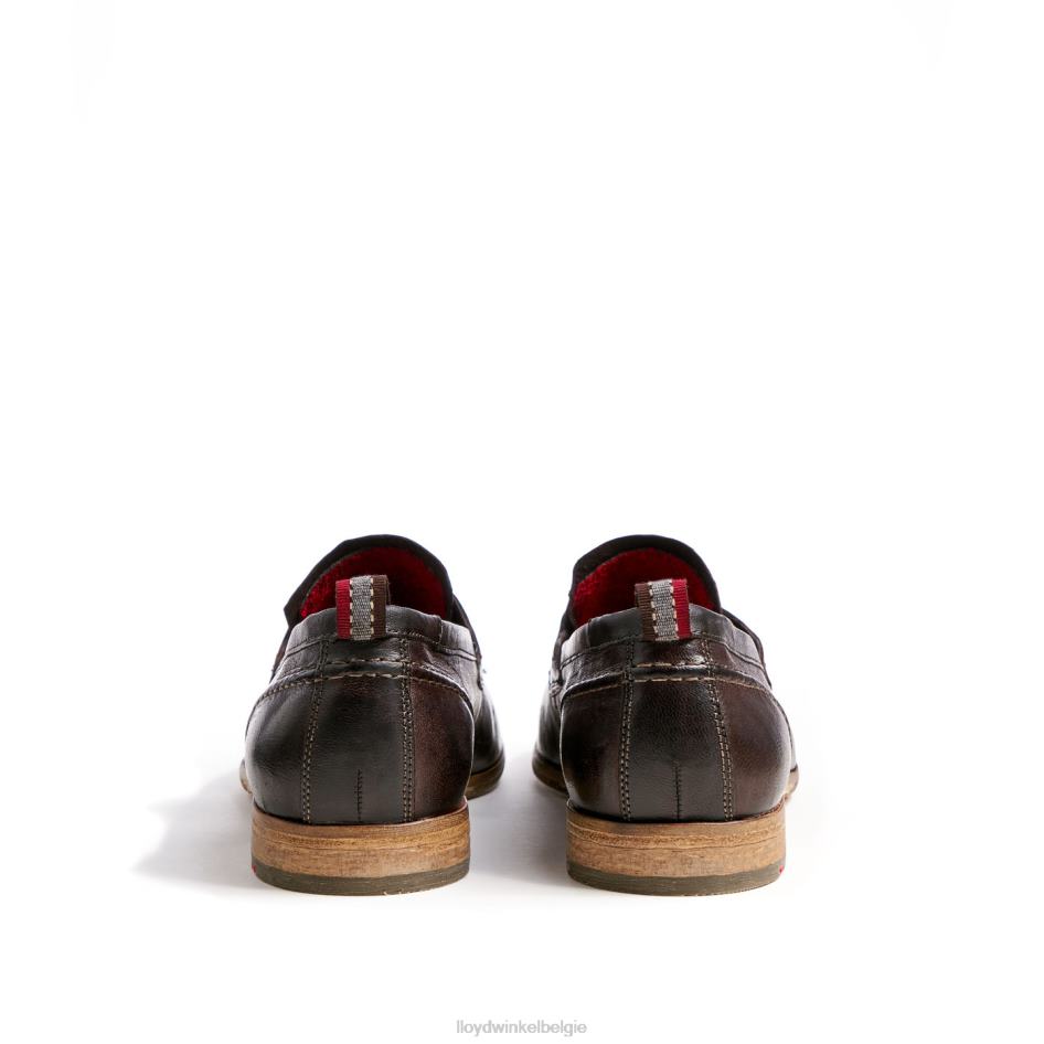 rijp Heren LLOYD bruin schoenen ZJ6BL612