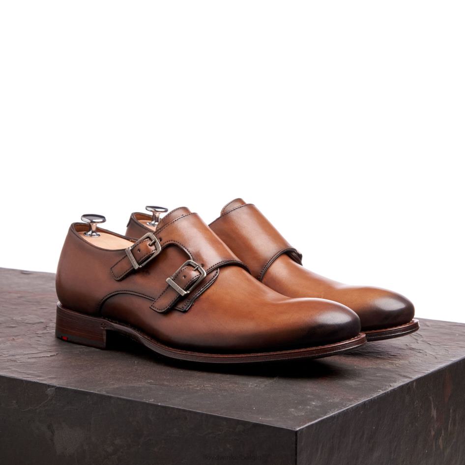 wilko Heren LLOYD bruin schoenen ZJ6BL185