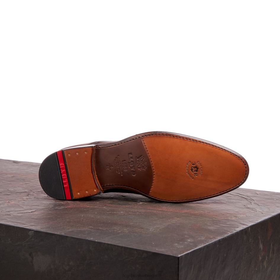 wilko Heren LLOYD bruin schoenen ZJ6BL185