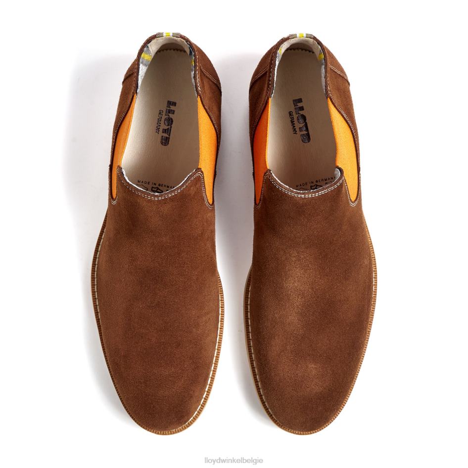 Dalby Heren LLOYD bruin schoenen ZJ6BL32