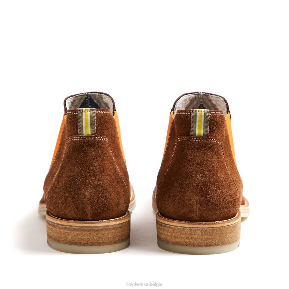 Dalby Heren LLOYD bruin schoenen ZJ6BL32