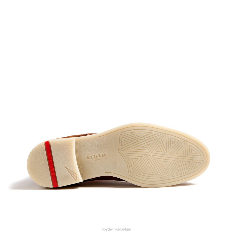 Dalby Heren LLOYD bruin schoenen ZJ6BL32