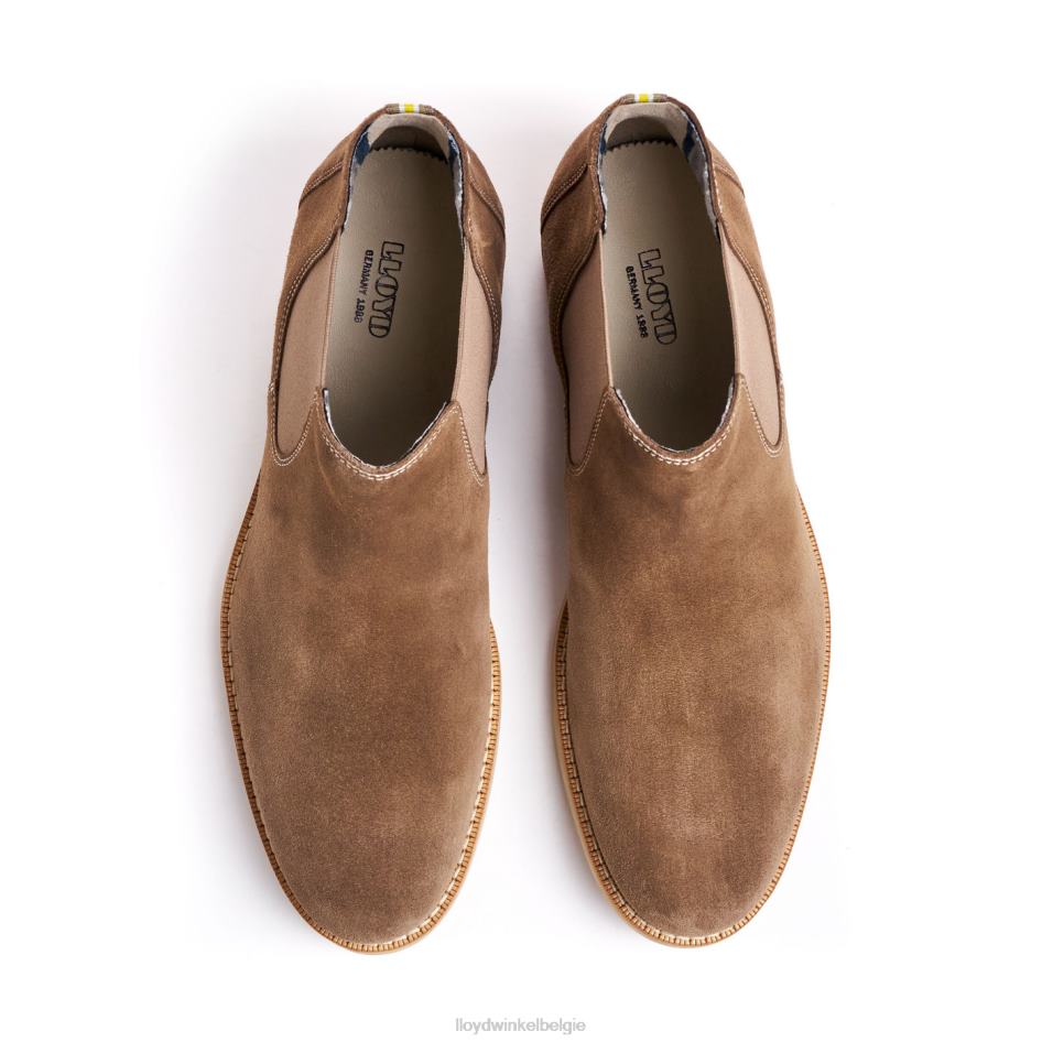 Dalby Heren LLOYD bruin schoenen ZJ6BL456