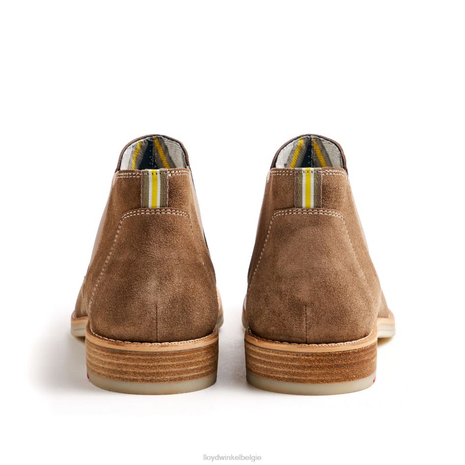 Dalby Heren LLOYD bruin schoenen ZJ6BL456