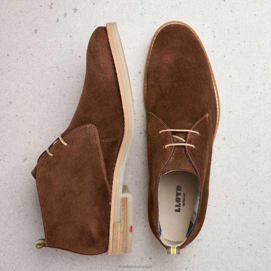 Darius Heren LLOYD bruin schoenen ZJ6BL559