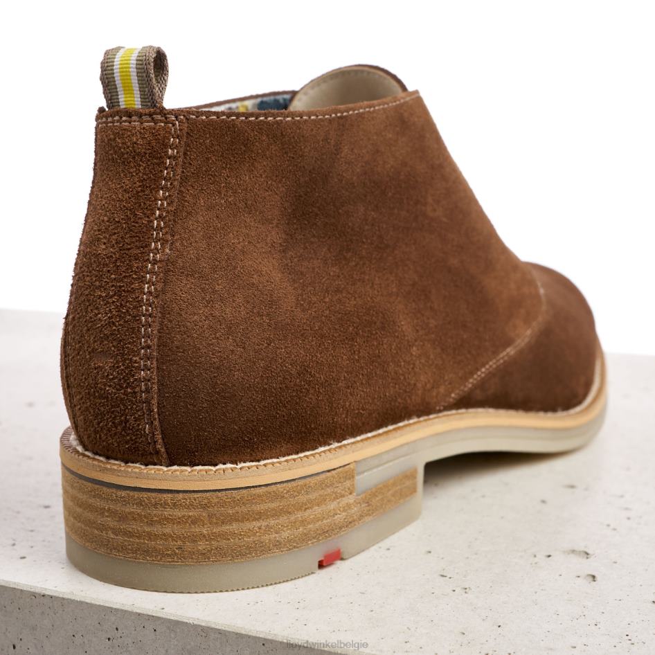 Darius Heren LLOYD bruin schoenen ZJ6BL559