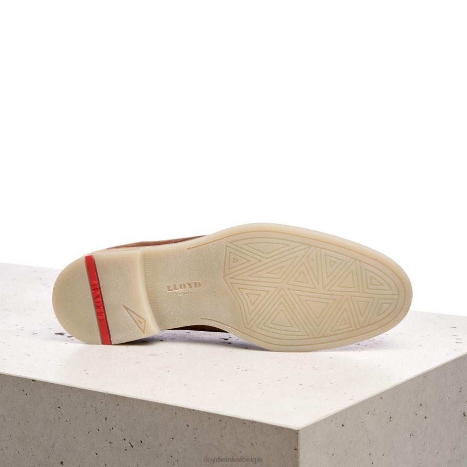 Darius Heren LLOYD bruin schoenen ZJ6BL559