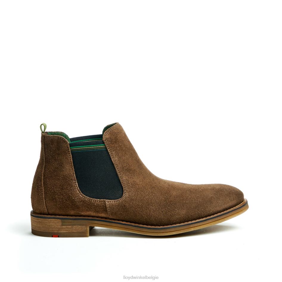 Darry Heren LLOYD bruin schoenen ZJ6BL457