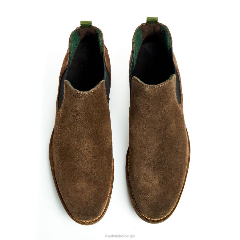 Darry Heren LLOYD bruin schoenen ZJ6BL457