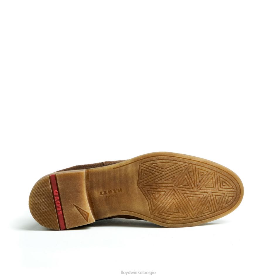 Darry Heren LLOYD bruin schoenen ZJ6BL457