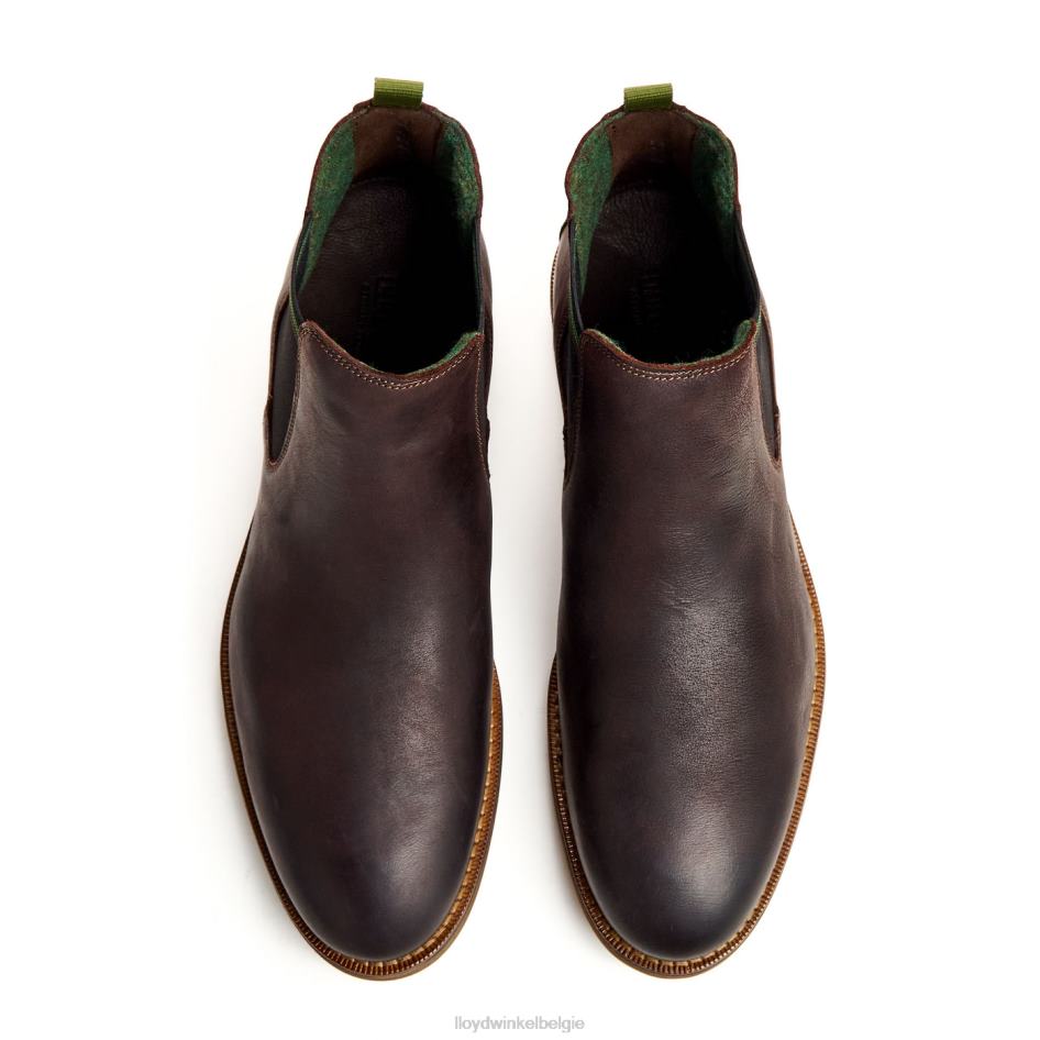 Darry Heren LLOYD bruin schoenen ZJ6BL459