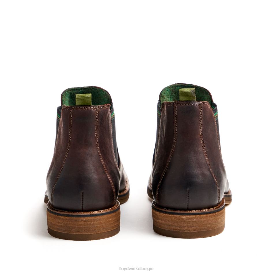 Darry Heren LLOYD bruin schoenen ZJ6BL459