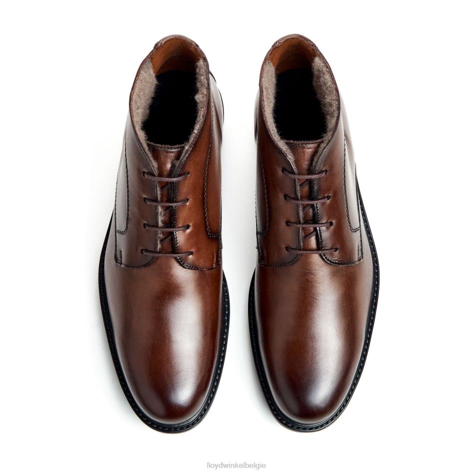 Delaware Heren LLOYD bruin schoenen ZJ6BL461