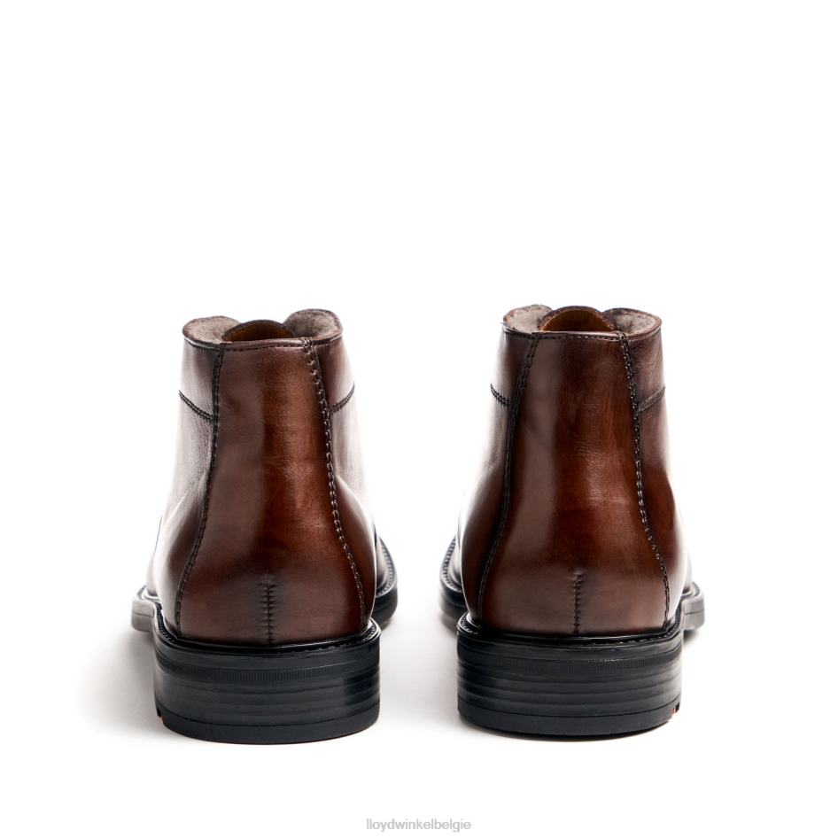 Delaware Heren LLOYD bruin schoenen ZJ6BL461