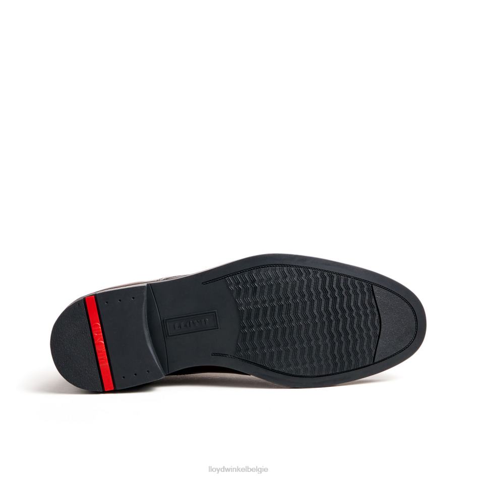 Delaware Heren LLOYD bruin schoenen ZJ6BL461