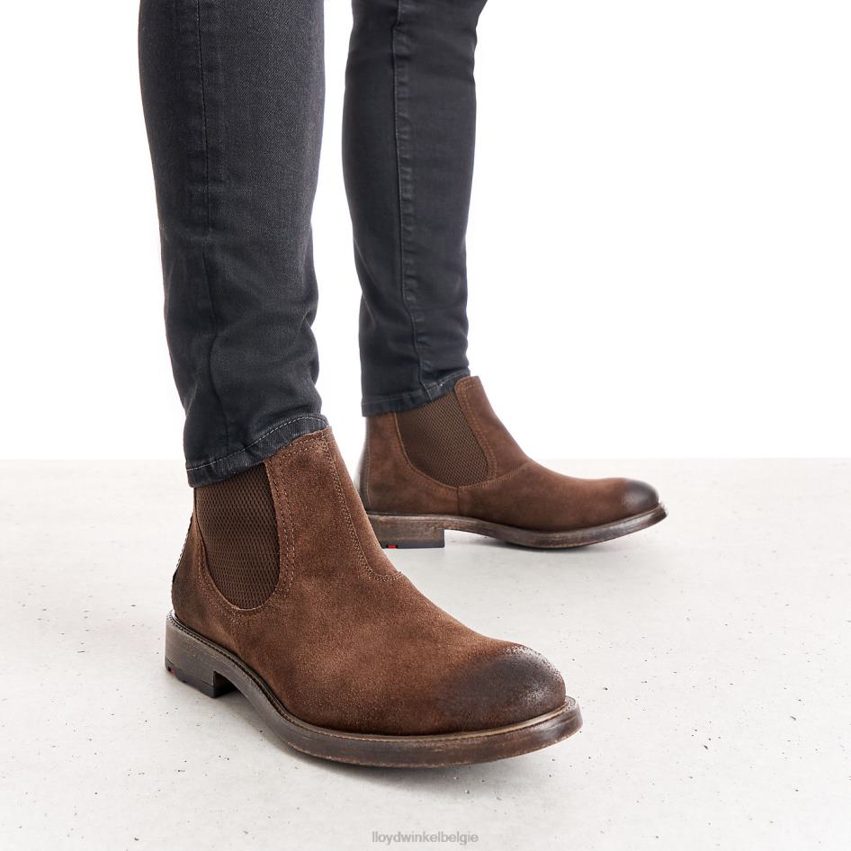 Duriel Heren LLOYD bruin schoenen ZJ6BL525