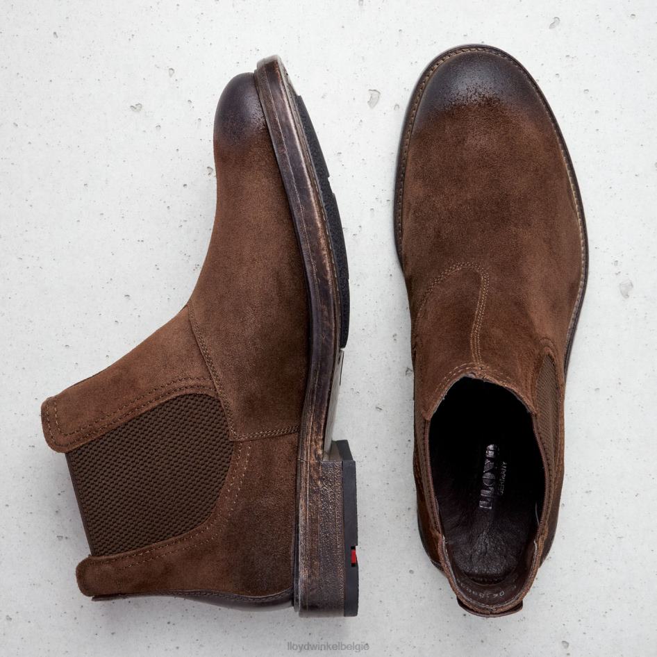 Duriel Heren LLOYD bruin schoenen ZJ6BL525