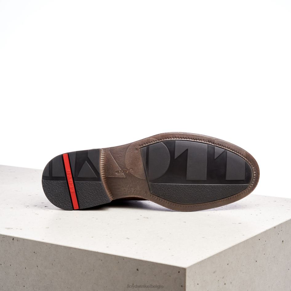 Duriel Heren LLOYD bruin schoenen ZJ6BL525