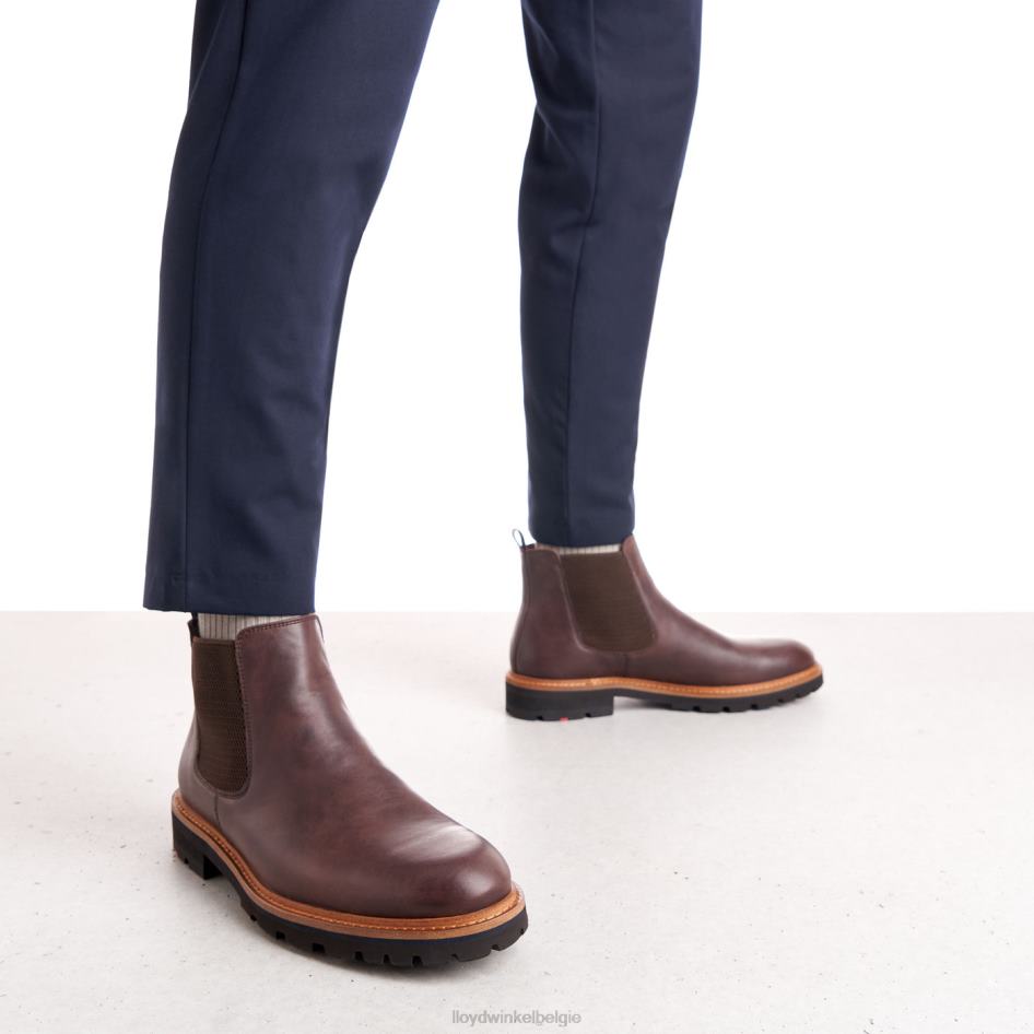 Fedor Heren LLOYD bruin schoenen ZJ6BL523