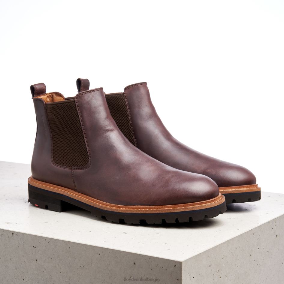 Fedor Heren LLOYD bruin schoenen ZJ6BL523