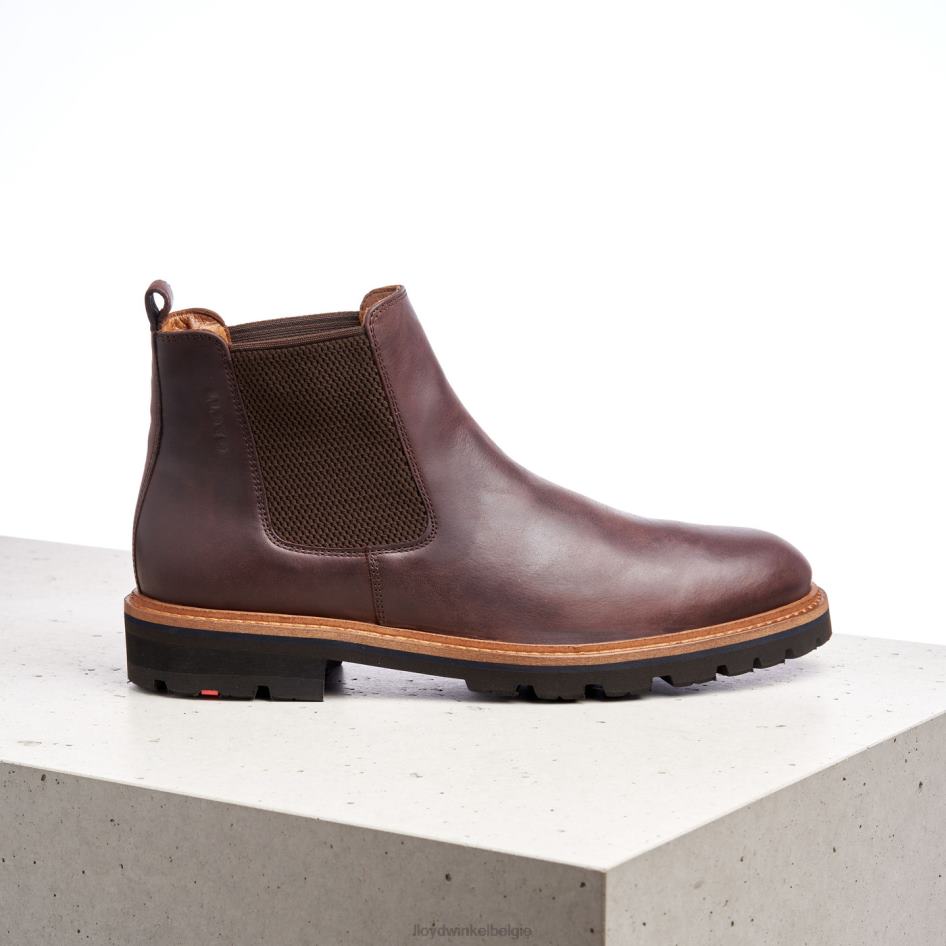 Fedor Heren LLOYD bruin schoenen ZJ6BL523