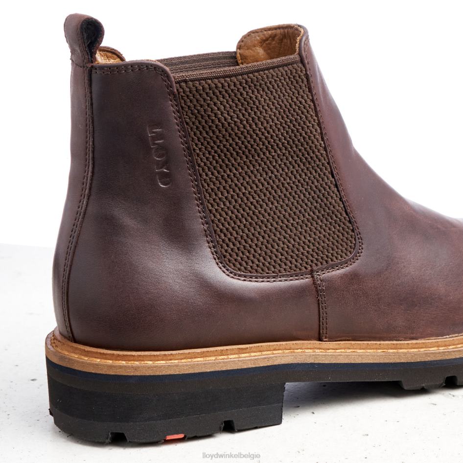 Fedor Heren LLOYD bruin schoenen ZJ6BL523