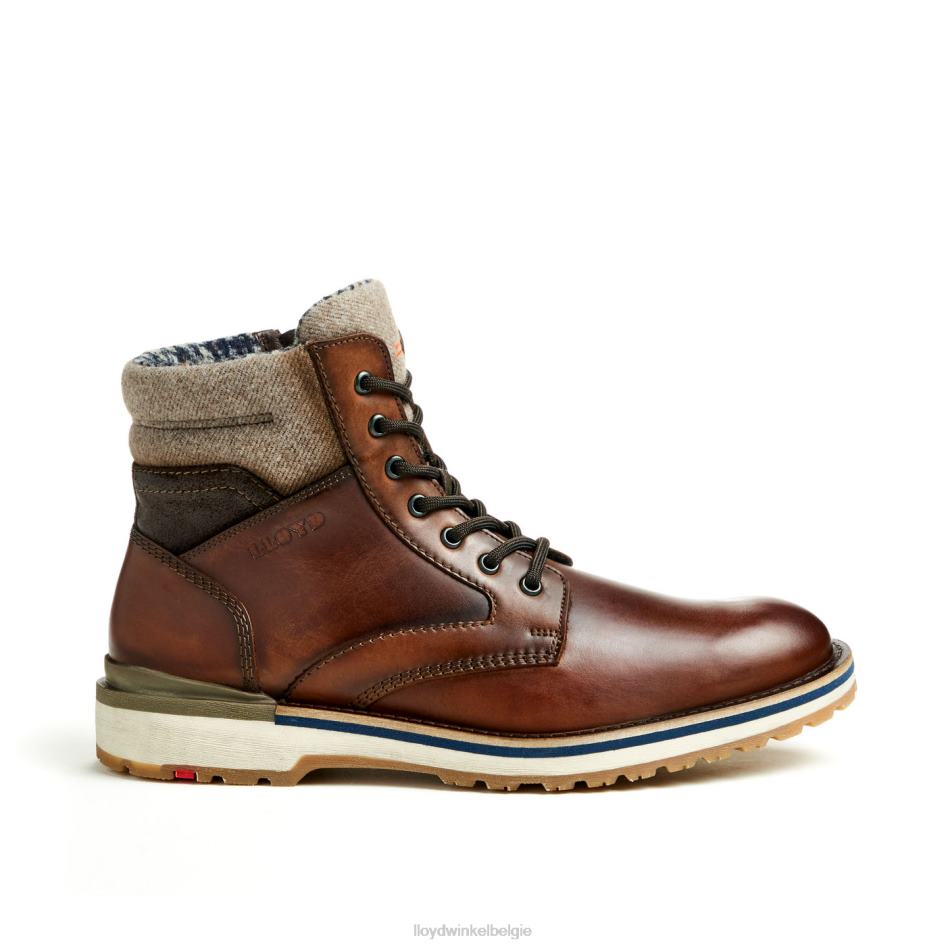 Glen Heren LLOYD bruin schoenen ZJ6BL482