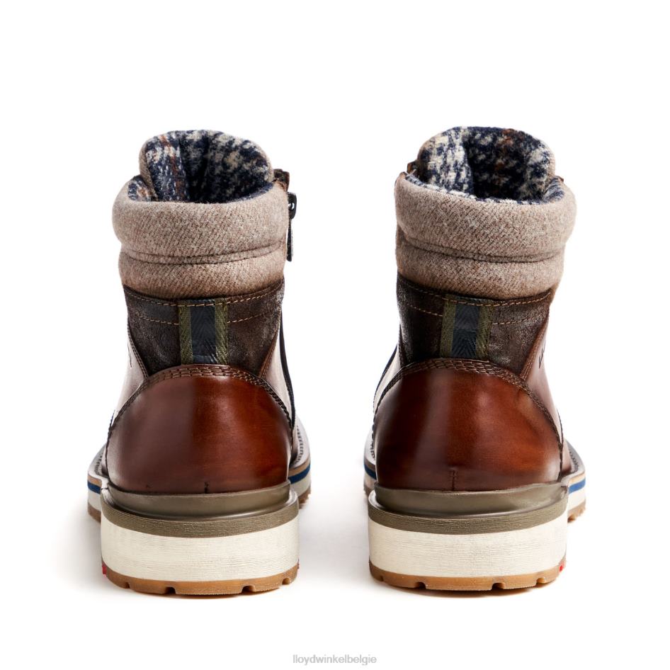 Glen Heren LLOYD bruin schoenen ZJ6BL482