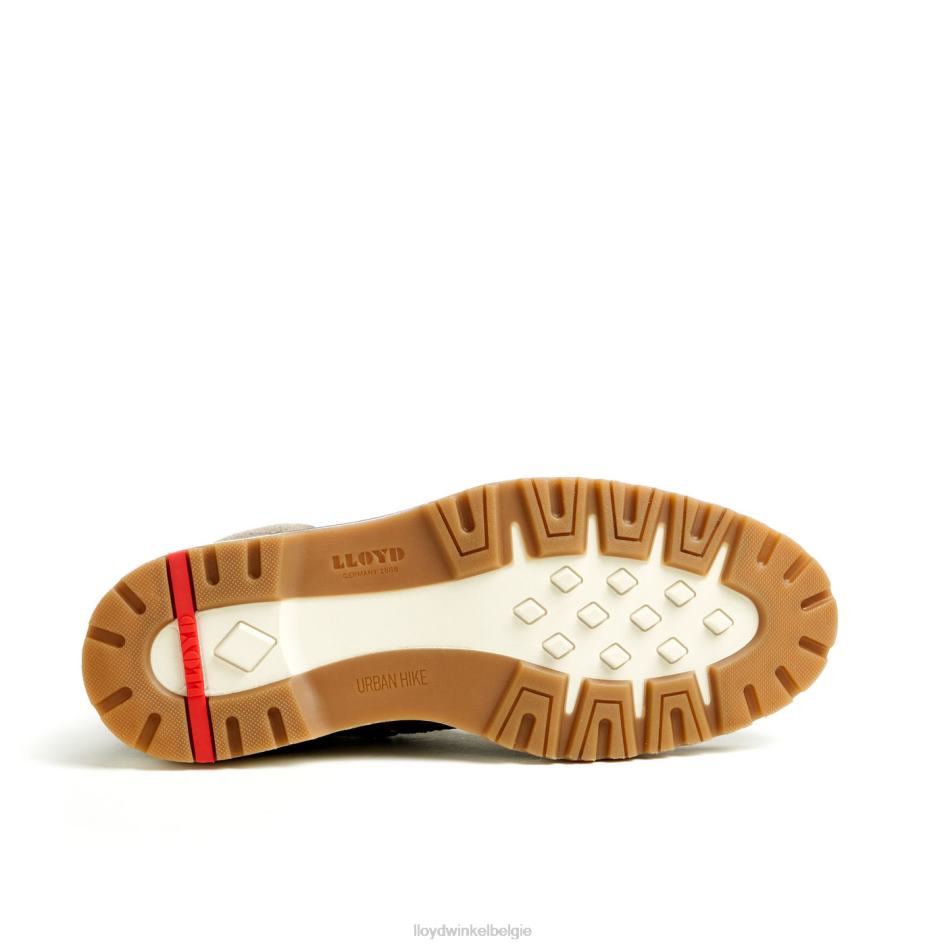 Glen Heren LLOYD bruin schoenen ZJ6BL482