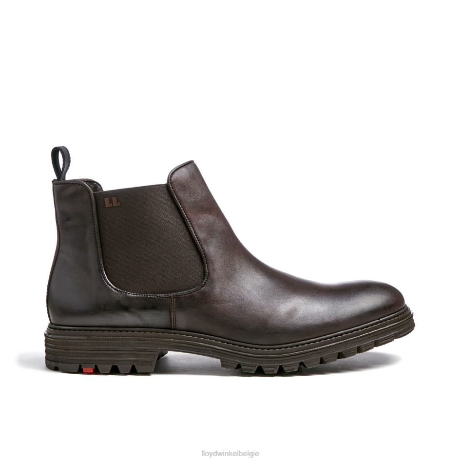 Harwich Heren LLOYD bruin schoenen ZJ6BL478