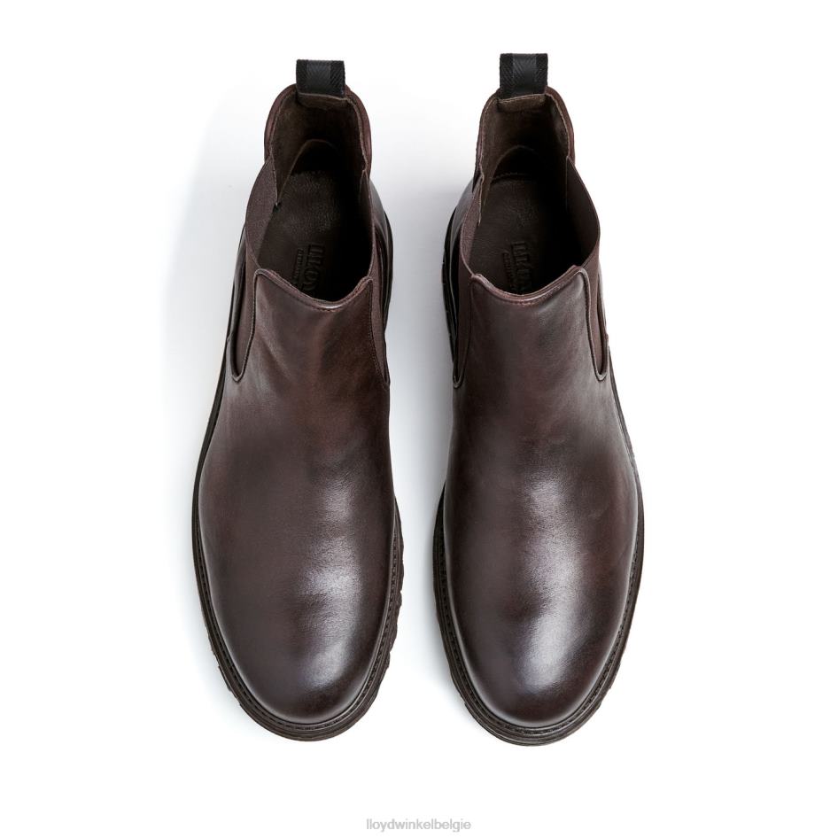 Harwich Heren LLOYD bruin schoenen ZJ6BL478