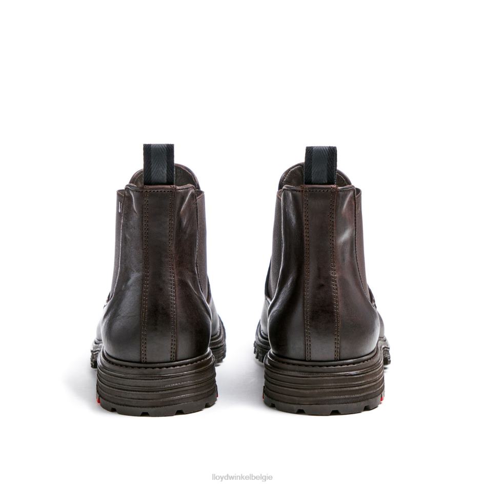 Harwich Heren LLOYD bruin schoenen ZJ6BL478