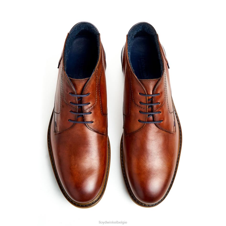 Hengelo Heren LLOYD bruin schoenen ZJ6BL463