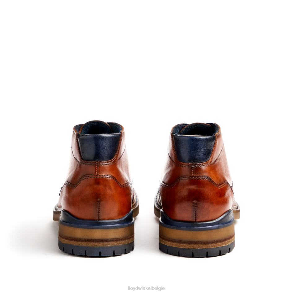 Hengelo Heren LLOYD bruin schoenen ZJ6BL463