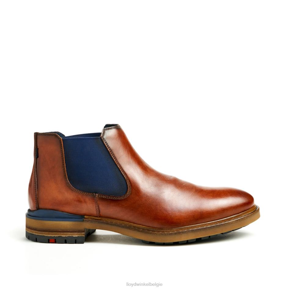 Henry Heren LLOYD bruin schoenen ZJ6BL464