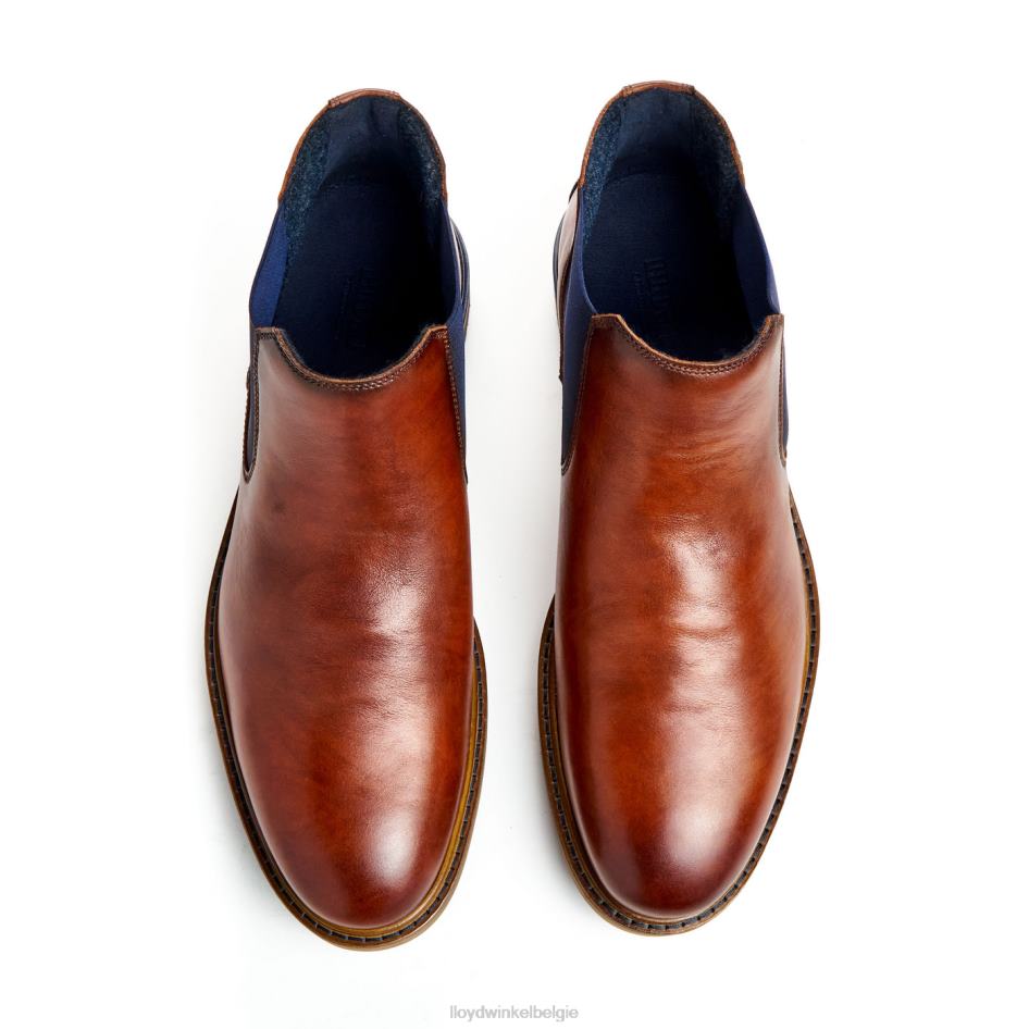 Henry Heren LLOYD bruin schoenen ZJ6BL464