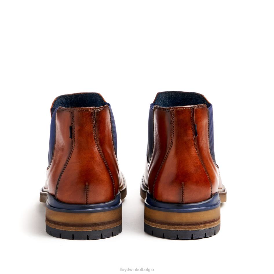 Henry Heren LLOYD bruin schoenen ZJ6BL464