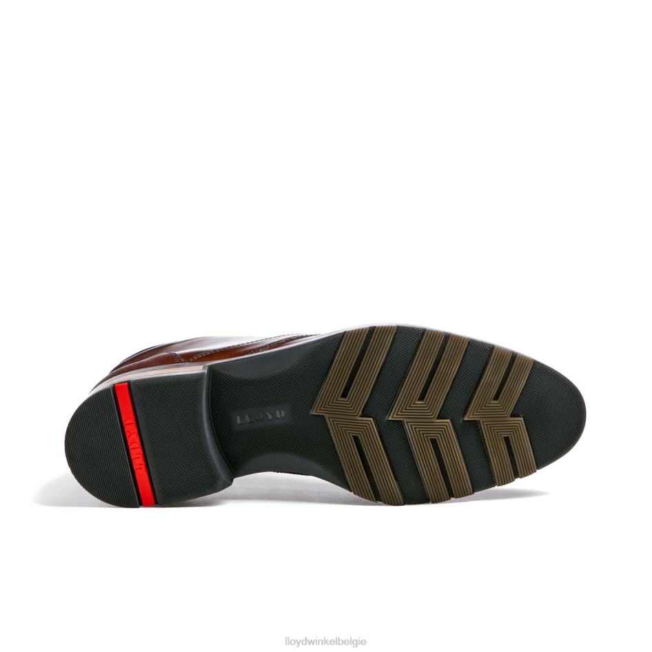 Jeffrey Heren LLOYD bruin schoenen ZJ6BL471
