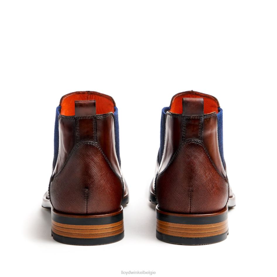 Jona Heren LLOYD bruin schoenen ZJ6BL58