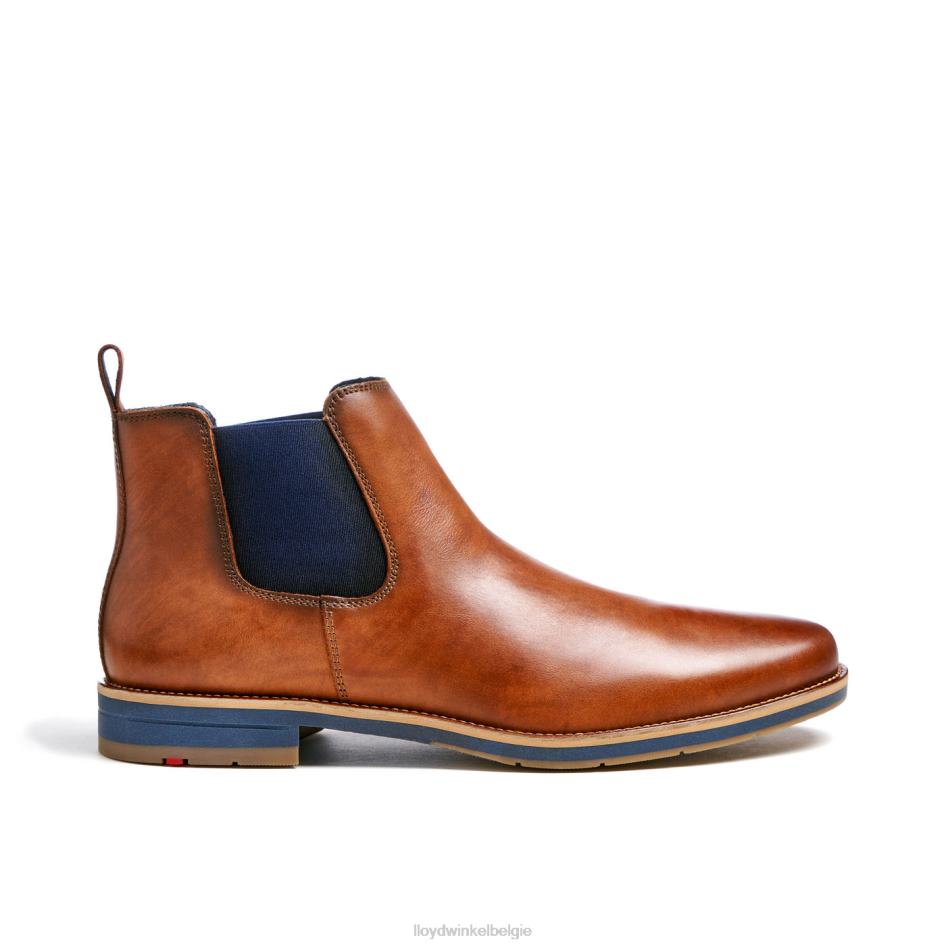 Laurens Heren LLOYD bruin schoenen ZJ6BL453