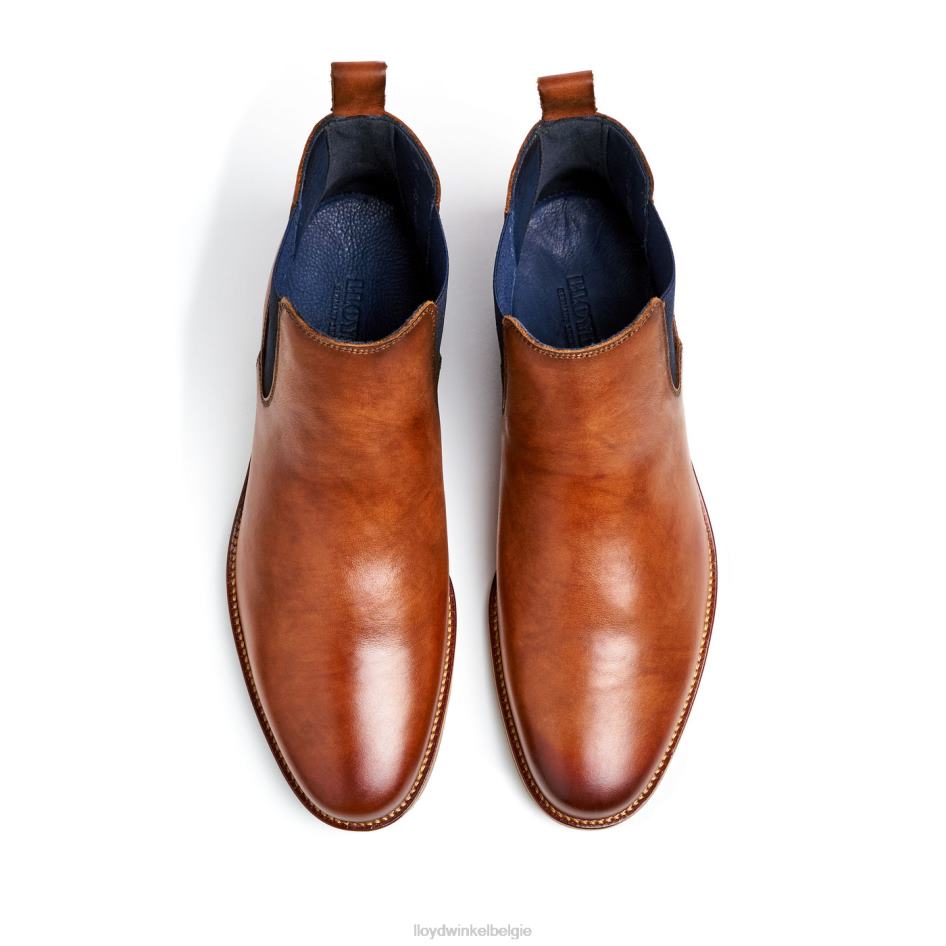 Laurens Heren LLOYD bruin schoenen ZJ6BL453