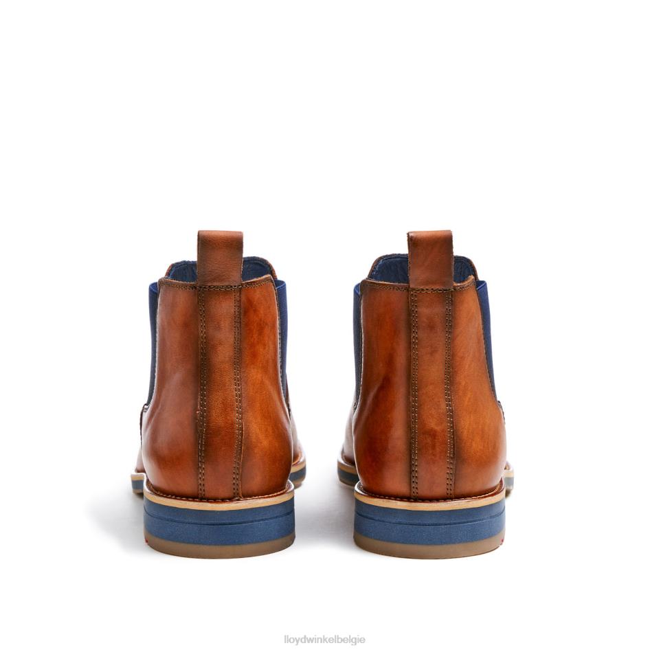 Laurens Heren LLOYD bruin schoenen ZJ6BL453