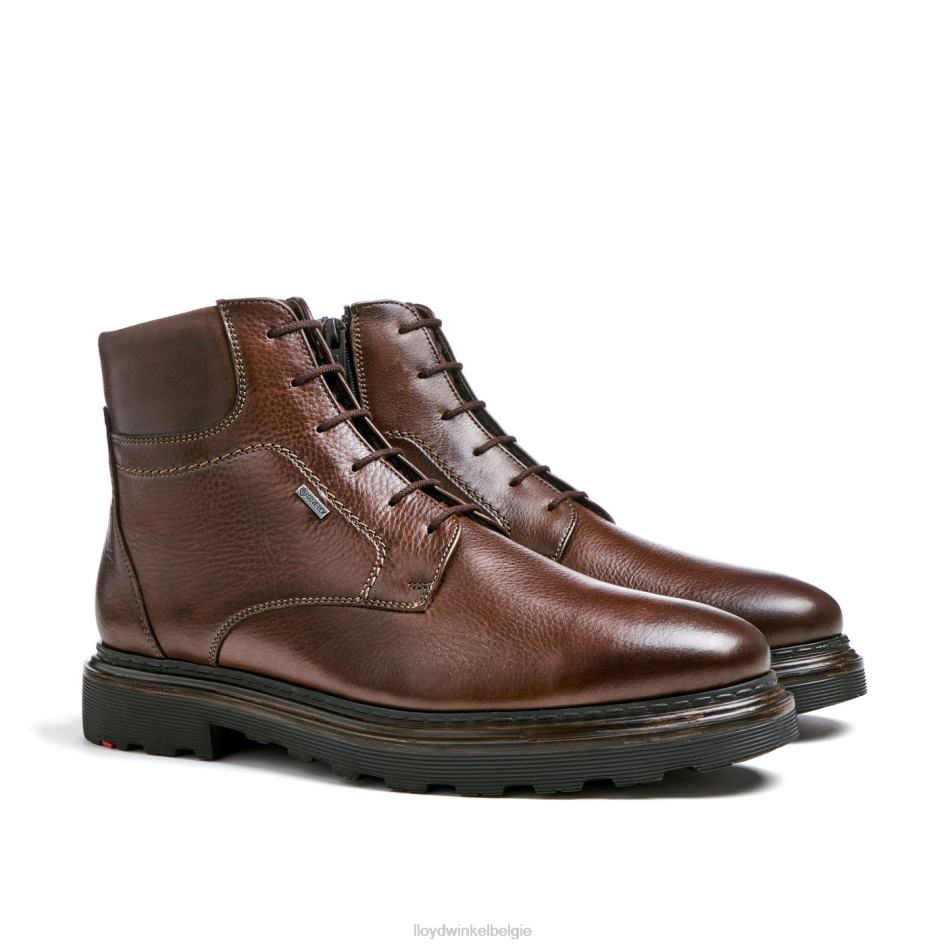 Liaan Heren LLOYD bruin schoenen ZJ6BL513