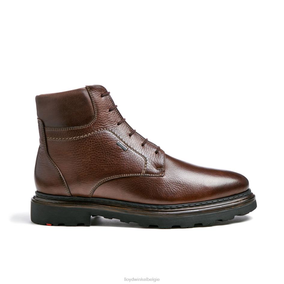 Liaan Heren LLOYD bruin schoenen ZJ6BL513