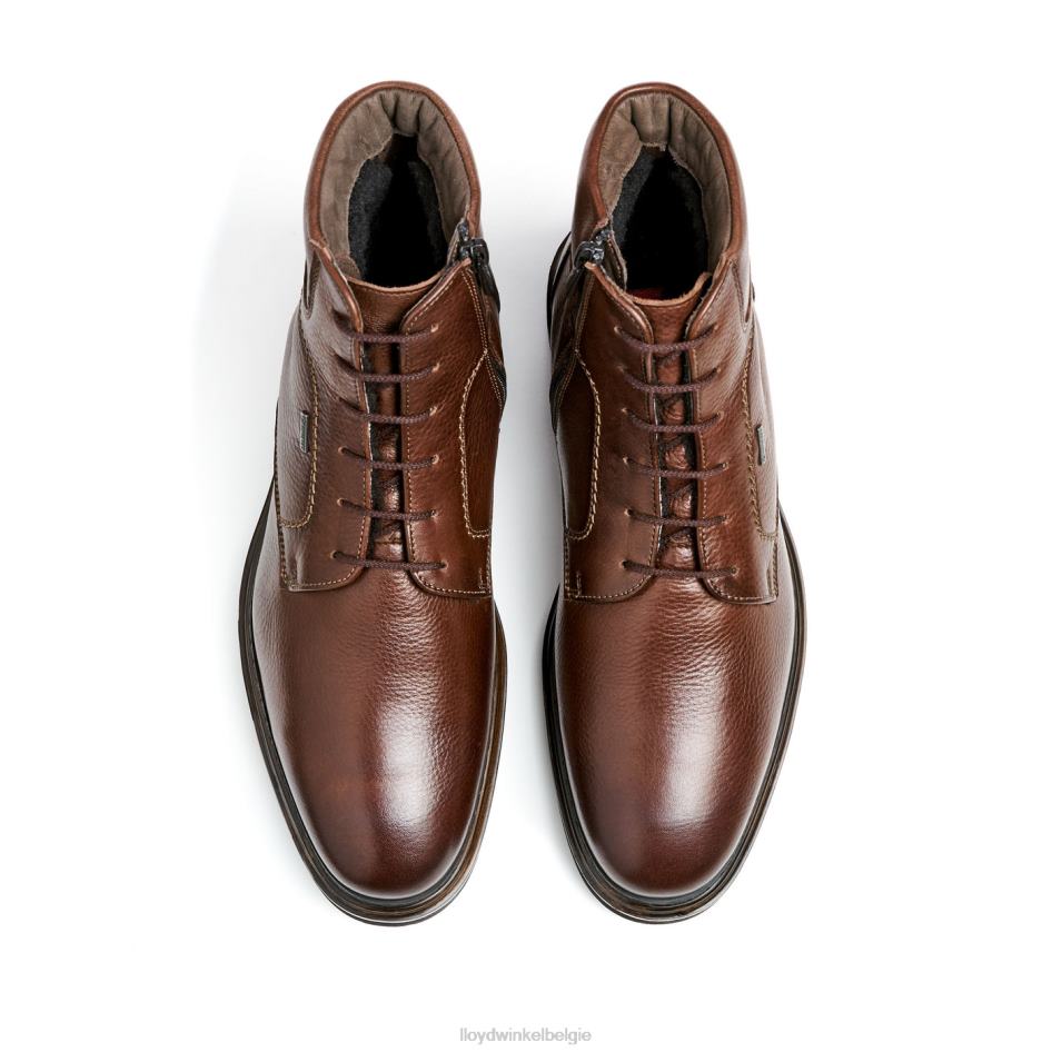 Liaan Heren LLOYD bruin schoenen ZJ6BL513
