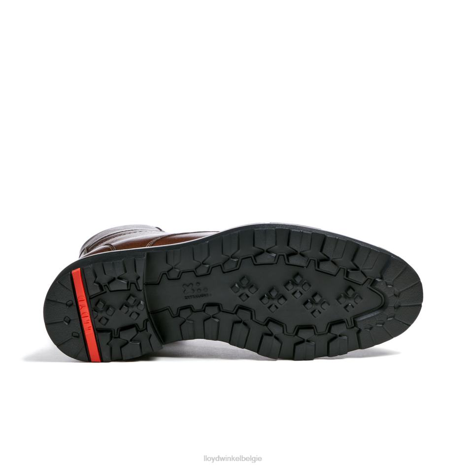 Liaan Heren LLOYD bruin schoenen ZJ6BL513
