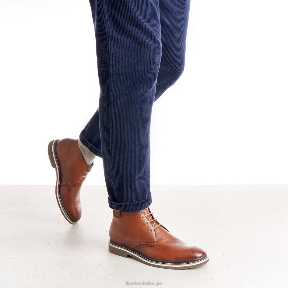 Norko Heren LLOYD bruin schoenen ZJ6BL554