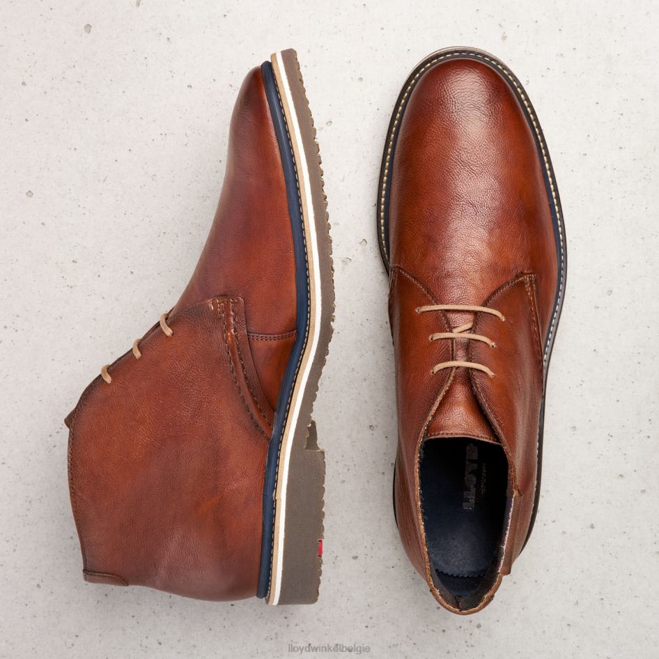 Norko Heren LLOYD bruin schoenen ZJ6BL554