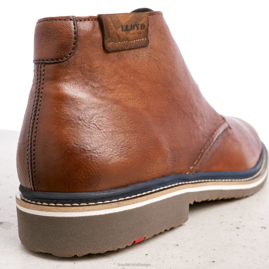 Norko Heren LLOYD bruin schoenen ZJ6BL554