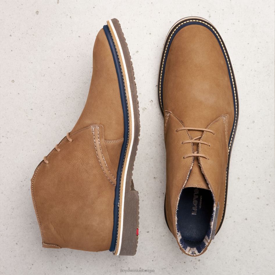 Norko Heren LLOYD bruin schoenen ZJ6BL569